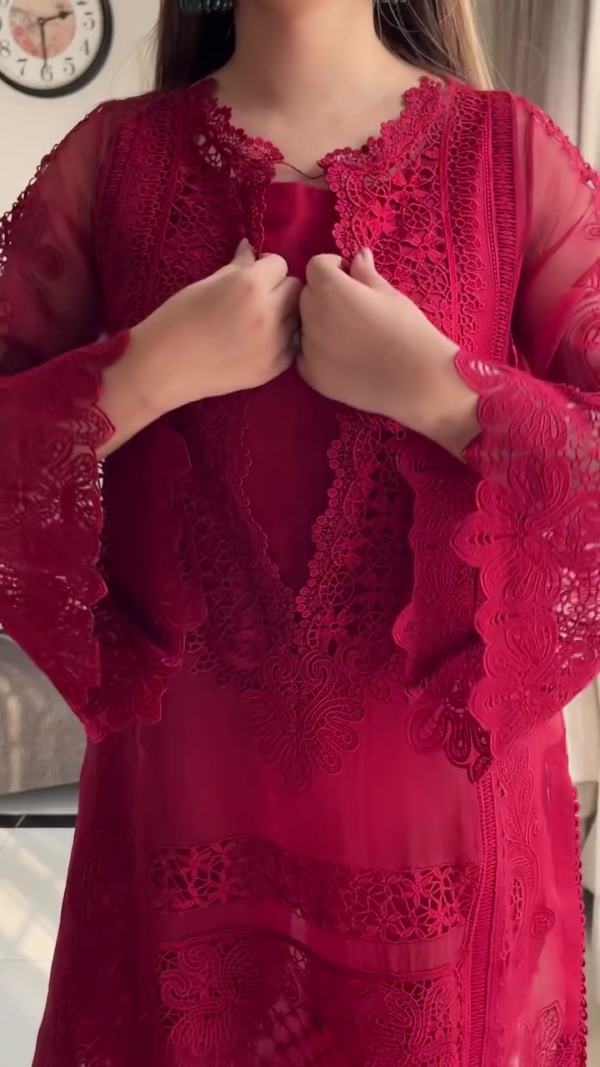 Collections Women Georgette Straight Hand Embroidered
